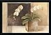 Contemporary Orchid by Albena Hristova Contemporary Floral Wall Art Print Framed D&eacute;cor