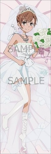 �Ƃ���Ȋw�̒��d���CS (A)��� ���� �������J�o�[