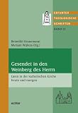 Produkt-Bild: Gesendet in den Weinberg des Herrn: Laien in der katholischen Kirche heute und morgen