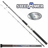DAM Steelpower Light Boat Power Tip 1,80m 20lbs