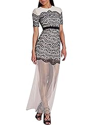 Polyester/Spandex Mesh Lace Sheer Short Sleeves Summer Mini Dress 