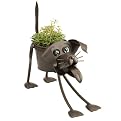 Sport The Dog Planter