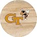 Thirstystone Natural Sandstone Set of 4 Coasters Georgia Tech