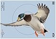 BWC 35407 PreGame Duck 12x18 Target