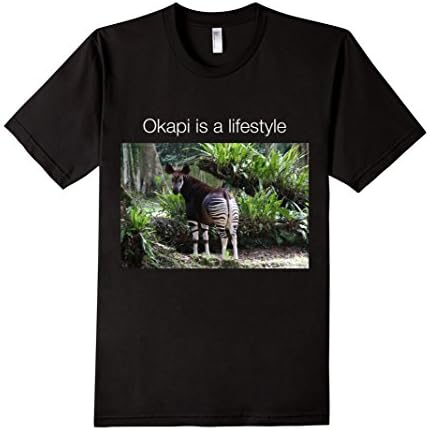 Men's Okapi is a Lifestyle T-Shirt Small Black