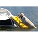 Paws Aboard Doggy Boat Ladder and Ramp