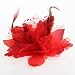 Schmuck : Rot Feder Organza Brosche Haarklammer Haarschmuck Haarspange Haarclips TOP