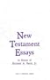 New Testament Essays