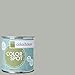 Inspired Eggshell Interior Colorspot Paint Sample, Metal .03,  8-oz