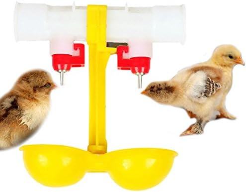 Double Cups Poultry Water Drinking Cups- Chicken Hen Plastic Automatic Drinker