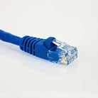 2 for 1 Bulk Sale - RJ45 CAT6 10 FT BLUE Network Cable by w-Intense