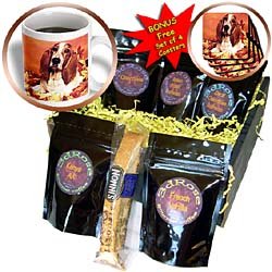 Dogs Basset Hound - Basset Hound - Coffee Gift Baskets - Coffee Gift Basket by 3dRose LLC