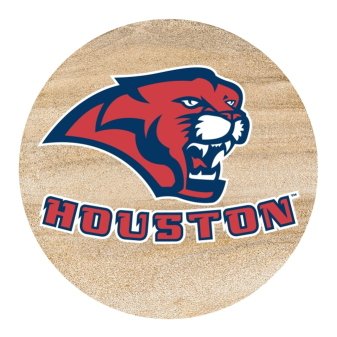 Thirstystone Natural Sandstone Set of 4 Coasters University of Houston