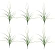 SIX 34" Grass Bushes with a total of approx.174 leaves