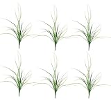 SIX 34" Grass Bushes with a total of approx.174 leaves