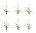 SIX 34" Grass Bushes with a total of approx.174 leaves