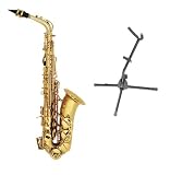 Conductor Model 300 Alto Saxophone - Gold Lacquer w Case, Accessories, Sax Stand and 1 Year Warranty - B000JIAVSE