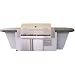 Search : Vidalia Gas Grills Built-In Propane Gas Grill 983