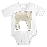 Onesie with wool, veal, domesticated, domestic, lamm, juvenile, barnyard, livestock, sheep, animal, lamb