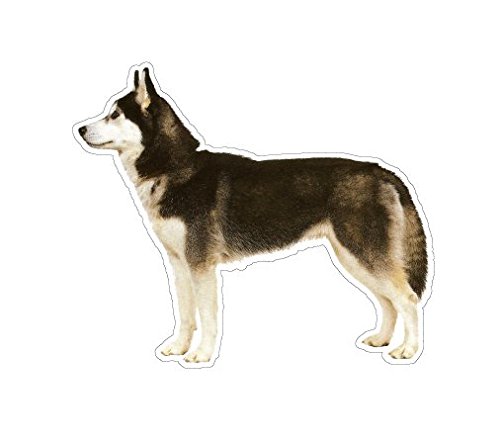 SIBERIAN HUSKY - Dog Decal - sticker dogs car got gift
