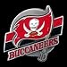 NFL Team Logo Pin - Tampa Bay Buccaneers