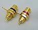 2 Philmore Gold-Plated RCA Panel Mount Jacks with Teflon Insulator, Red & Black