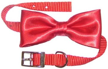 Dog Collar with Bow Tie, Red (12" x 5/8")