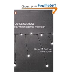 Consciousness: How Matter Becomes Imagination