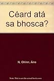 Céard atá sa bhosca?