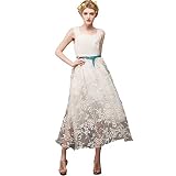 Maya Women Elegant Chiffon Dress JO9831 (M)