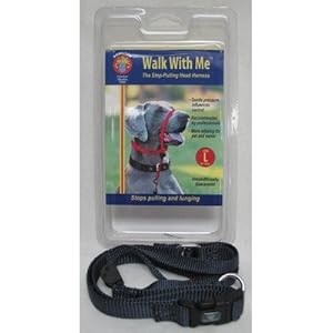 dog head harness