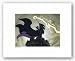 Maleficent's Fury by Walt Disney 6.5"x9" Art Print Poster Disney