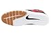Nike Free SB QS Men's Skateboarding Shoes