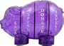 Money Savvy Piggy Bank Purple