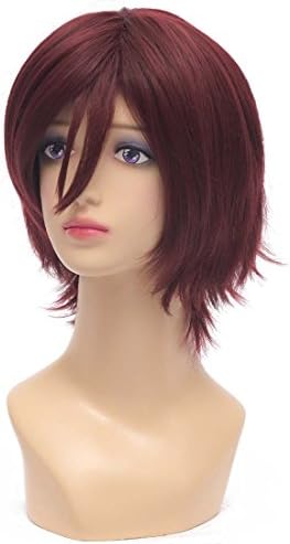 ICOSER Free! Short Anime Cosplay Costume Wig Hair 12'' (Matsuoka Rin)