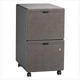Two-Drawer File (Assembled) - Series A Pewter Collection - Bush Office Furn ....