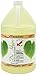 Kelco 50:1 Dr Hypo Shampoo Gallon