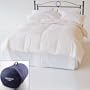 Paradise Hungarian Goose Down Comforter - 800 Fill Power by Daniadown