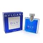 �u���K�� �u���[ (M)ET/SP/100ml