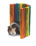 Super Pet Guinea Pig Tropical Fiddle...