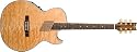Washburn Festival Series Acoustic Electric Cutaway Guitar