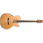 Washburn Festival Series Acoustic Electric Cutaway Guitar