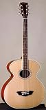Washburn WB200S Prairie Series Acoustic Guitar with Case