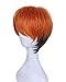 Dazcos Unisex Fox Nick Wilde Orange Black Short Wig Cosplay Costume 32CM