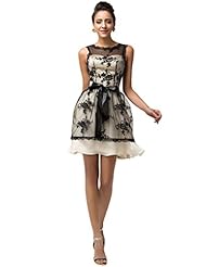 Sleeveless Chiffon/Satin Lace Cocktail Prom Dress/Party Dress  With a Sash 