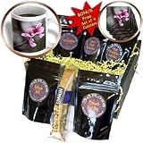 WhiteOak Photography Floral Prints - Single Cherry Blossom Pink Cherry Blossom - Coffee Gift Baskets - Coffee Gift Basket