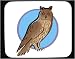 Search : Mouse Pad with forecast, astrology, sign, owl, horoscope, bird, animal, chinese