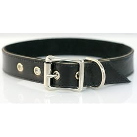 Scrappy Pets Recycled Leather Dog Collar