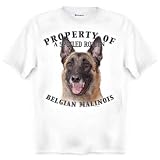 Belgian Malinois Property Of Adult T Shirt