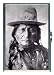 AMERICAN INDIAN CHIEF SITTING BULL ID CIGARETTE CASE